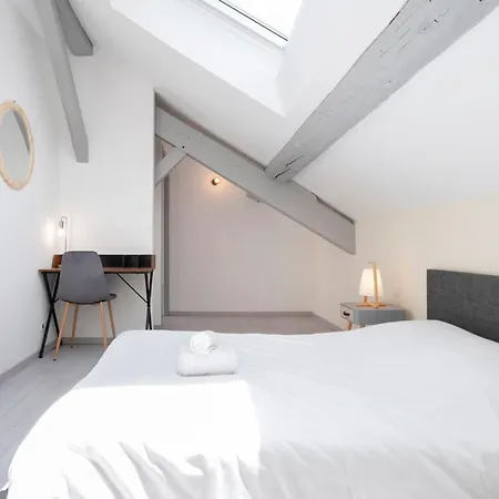 Le Havre Nanceien Apartment Nancy Exterior photo